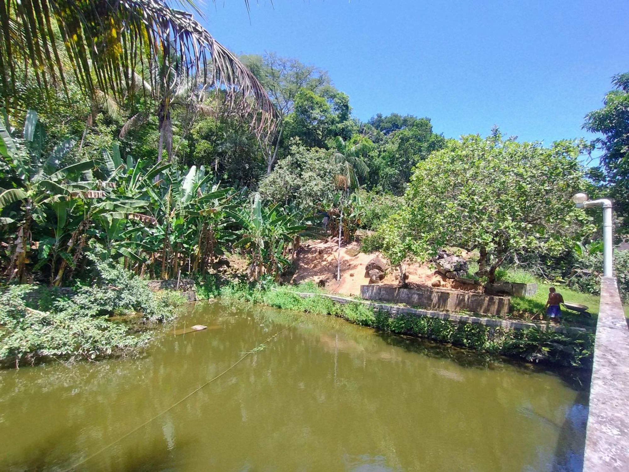 Pousada Tucunare Peruíbe Extérieur photo